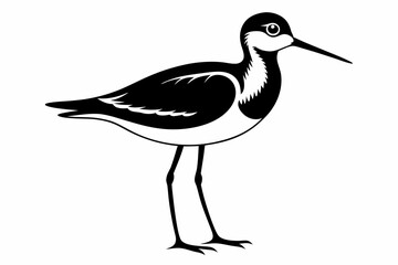 Fototapeta premium sandpiper silhouette line art vector illustration with a white background