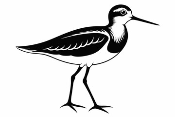 Obraz premium sandpiper silhouette line art vector illustration with a white background
