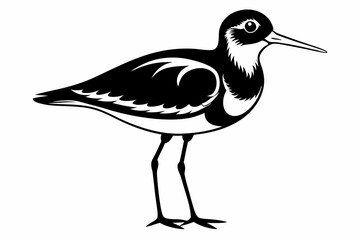 sandpiper silhouette line art vector illustration with a white background