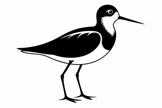 sandpiper silhouette line art vector illustration with a white background