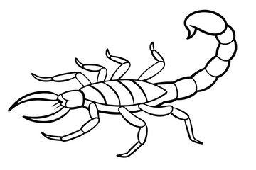 scorpion silhouette line art vector illustration with a white background