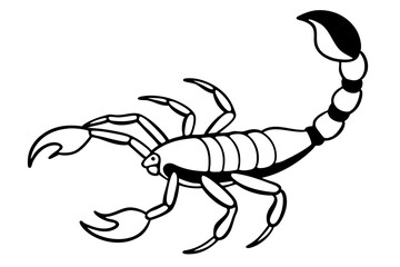 scorpion silhouette line art vector illustration with a white background