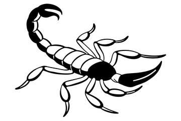 scorpion silhouette line art vector illustration with a white background