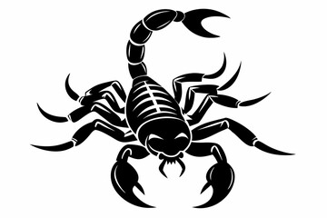 scorpion silhouette line art vector illustration with a white background