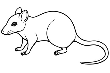 shrew line art