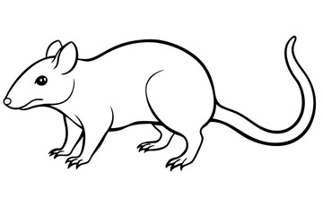 shrew line art