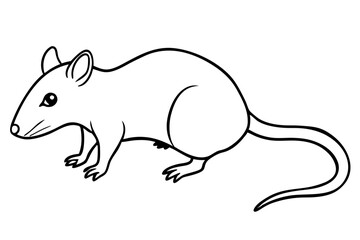 shrew line art