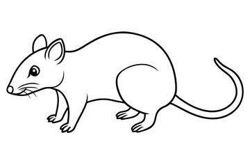 shrew line art