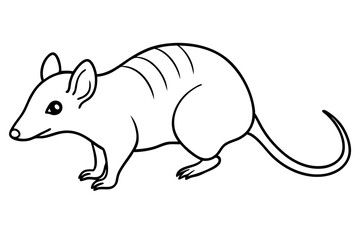 shrew silhouette line art vector illustration with a white background