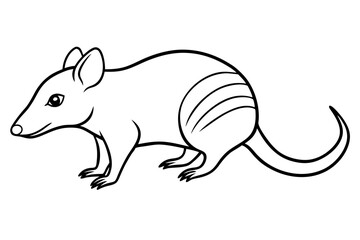 shrew silhouette line art vector illustration with a white background