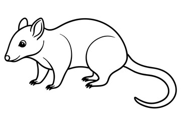 shrew silhouette line art vector illustration with a white background