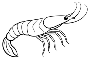 shrimp silhouette line art vector illustration with a white background