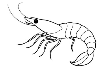 shrimp silhouette line art vector illustration with a white background