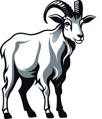 Fototapeta premium Cute cartoon a illustrator vector Mountain goat