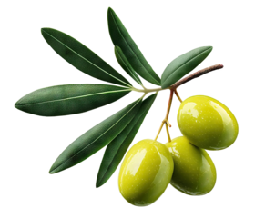 Delicious green olives with leaves on branch, isolated on transparent cutout background