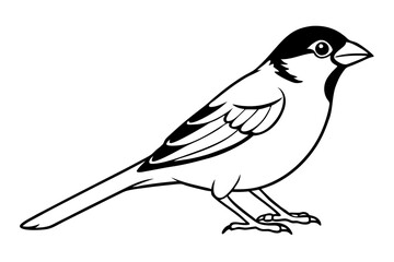 sparrow silhouette line art vector illustration with a white background