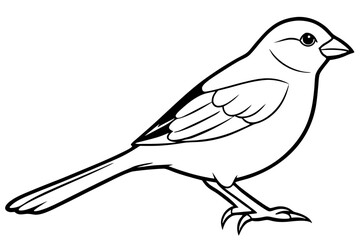 sparrow silhouette line art vector illustration with a white background