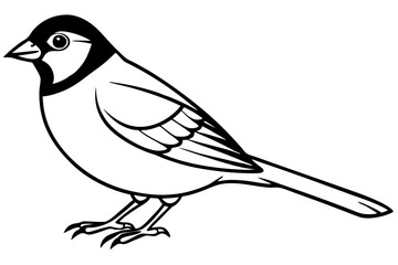 Obraz premium sparrow silhouette line art vector illustration with a white background