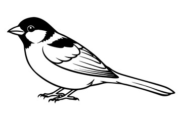 sparrow silhouette line art vector illustration with a white background