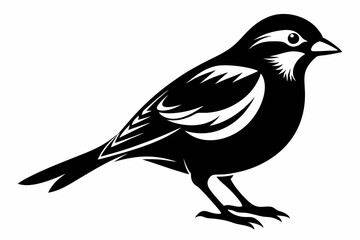 sparrow silhouette line art vector illustration with a white background
