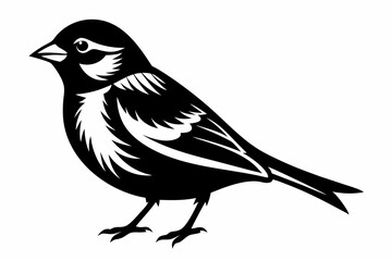 sparrow silhouette line art vector illustration with a white background
