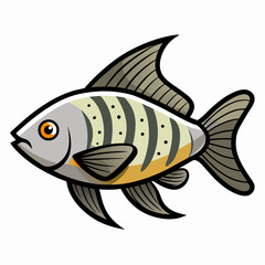 fish on a white background