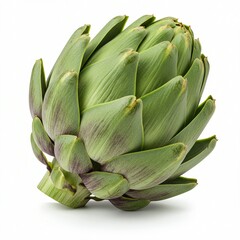 Fresh artichoke head, vibrant green and ready to eat.