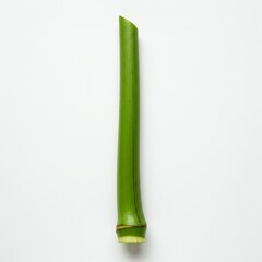 Close-up of a vibrant green bamboo stem