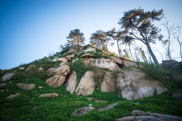 Fototapete bei efototapeten.de bestellen   