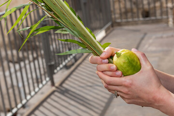 A bat mitzvah girl waves a lulav and etrog or citron during prayer services on the Jewish festival of Sukkot in Jerusalem.