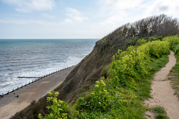 The Paston Way footpath along the cliffs in the seaside town of Cromer on the North Norfolk Coast