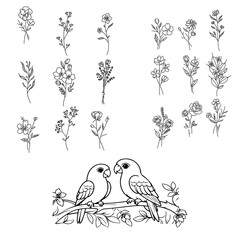 Sketch Flower Abstract Art Drawing 