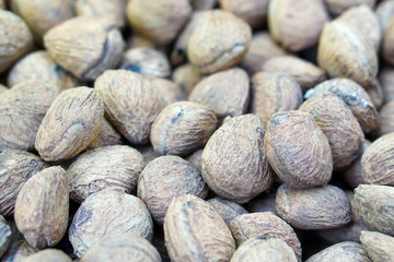 Kepayang, pangi or kaloa is a fruit used as a cooking spice known as keluak. It gives a blackish brown color, such as the use of rawon, brongkos, gabus picung, keluak spiced meat, and konro soup.