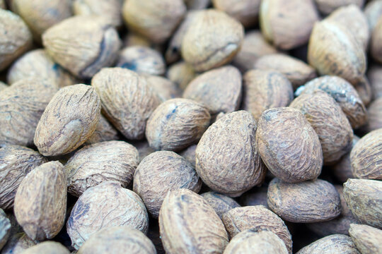 Kepayang, pangi or kaloa is a fruit used as a cooking spice known as keluak. It gives a blackish brown color, such as the use of rawon, brongkos, gabus picung, keluak spiced meat, and konro soup.