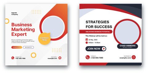 Elevate Your Business: Marketing Expertise and Strategies for Success Webinar