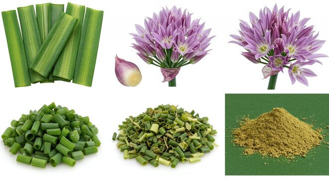 Derivative Products of Chives Allium Schoenoprasum Highlighting Leaf Structure and Flower Heads with Fresh Green Color Isolated on White Background Perfect for Herb Culinary Information