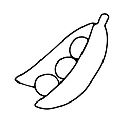 20 Vegetarian Food Icons | Flat Thin Line Style Vector Set