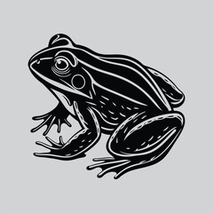 Frog graphic detail