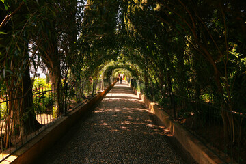 Obraz premium A trellis in the gardens of Generalife, Granada, Spain.