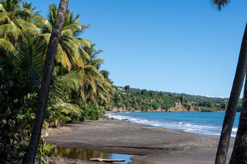 Plage de Grande Anse auf Basse Terre / Guadeloupe / Strand / Frankreich / Karibik