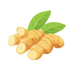A very Simple flat 2D icon, A ginger root and leaf isolated on a transparent background, flat design, animation design, vector, flat design, animation design, simple flat 2D icon, minimalist design