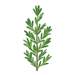 A Very Simple flat 2D icon of rosemary isolated on a white background, vector, flat design, animation design, simple flat 2D icon, minimalist design, clipart design, EPS
