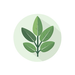 A Very Simple flat 2D icon sage branches isolated on a white background, vector, flat design, animation design, simple flat 2D icon, minimalist design, clipart design, EPS