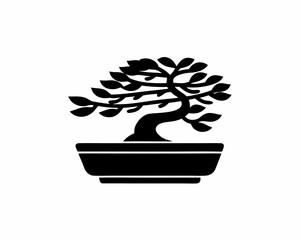 creative details Windswept bonsai icon Vector Illustration