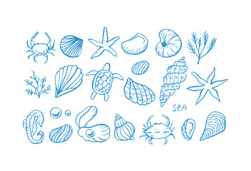 Sea life doodle hand drawn vector illustrations. Ocean life in blue color