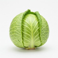 Fototapeta premium cabbage isolated on white background