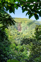 Wasserfälle / Wasserfall auf Basse-Terre / Guadeloupe / Frankreich / Karibik / Urwald / Chutes du Carbet