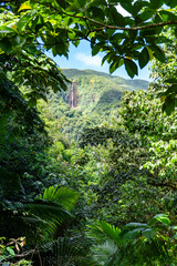 Wasserfälle / Wasserfall auf Basse-Terre / Guadeloupe / Frankreich / Karibik / Urwald / Chutes du Carbet