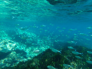 Dark blue ocean surface seen from underwater. Abstract waves underwater and rays of sunlight shining through, Sun light rays undersea deep, Underwater background with sea bottom, Mediterranean sea.