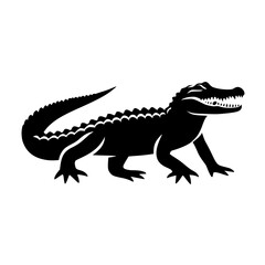 crocodile isolated on white